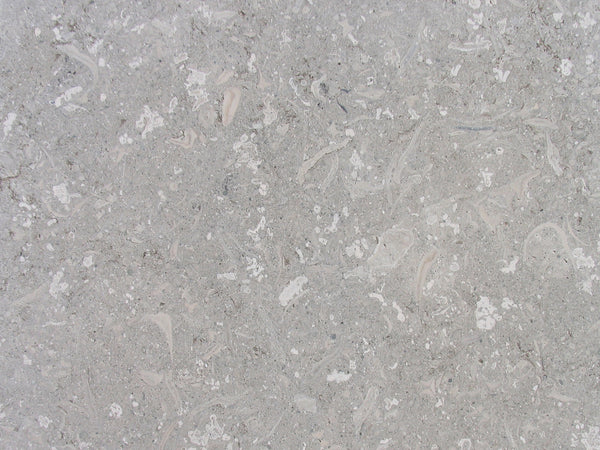 grigio alpi close up slab