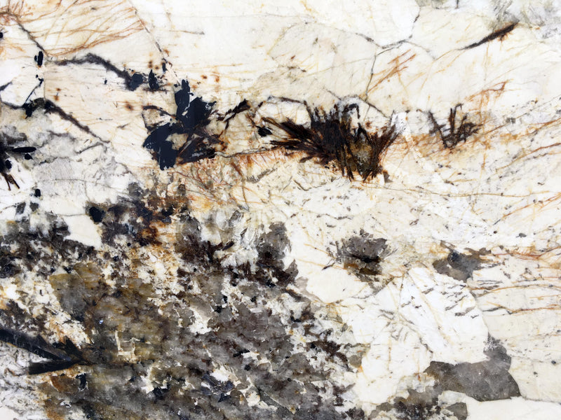 patagonia stone granite quartz slab close up