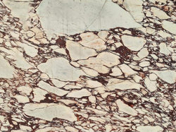 Calacatta Viola