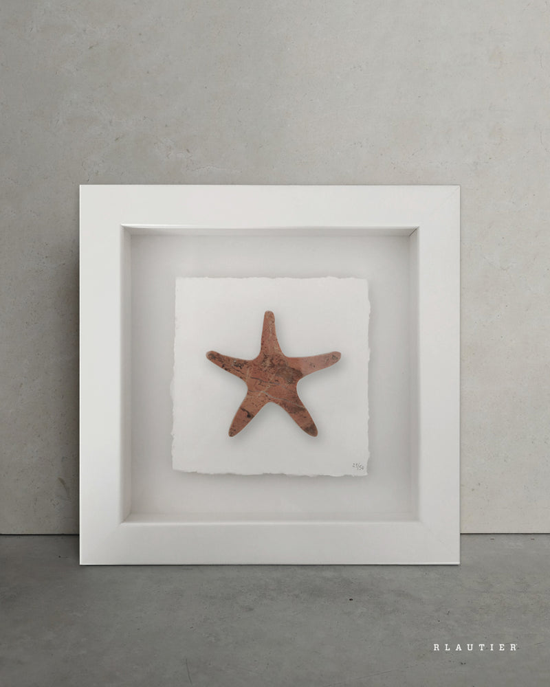 shapes of nature starfish marble rosso alicante recycled material natural stone piece framed artwork